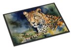 NEW Leopard Doormat Front Door Mat Indoor Outdoor Rugs for Entryway, Non Slip Washable Low Pile, 18H X 27W
