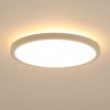 11.8 Inch Flush Mount Ceiling Light, 20W LED+Nightlight Ceiling Light Fixture for Kitchen Bedroom Living Room
