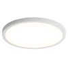 11.8 Inch Flush Mount Ceiling Light, 20W LED+Nightlight Ceiling Light Fixture for Kitchen Bedroom Living Room