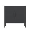 Metal Storage Cabinet with Doors and Adjustable Shelves, Steel Garage Storage Cabinet, Metal File Cabinet for Home Office School Gym, Black