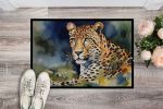 NEW Leopard Doormat Front Door Mat Indoor Outdoor Rugs for Entryway, Non Slip Washable Low Pile, 18H X 27W