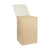 Laundry Hamper with Lid for Bedroom & Bathroom