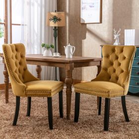 Modern High-end Tufted Solid Wood Contemporary Velvet Upholstered Dining Chair with Wood Legs Nailhead Trim 2-Pcs Set (Material: Velvet, Color: Gold)