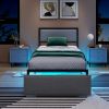 Full/Queen/Twin Size Bed Frame with LED Lights Drawer and Metal Slats